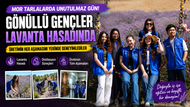 Gönüllü gençler lavanta hasadında buluştu: Üretimi yerinde deneyimlediler