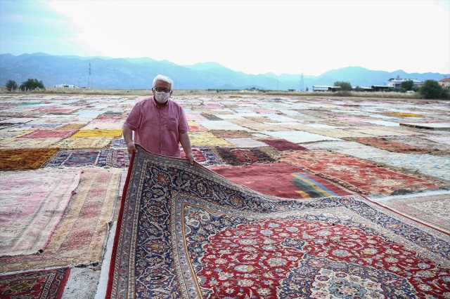 Görsel şölen oluşturan "halı tarlaları" ilgi çekiyor