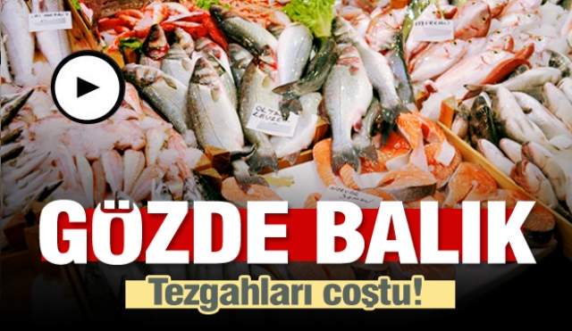 GÖZDE BALIK TEZGAHLARI TAZE BALIKLARLA ÇOŞTU