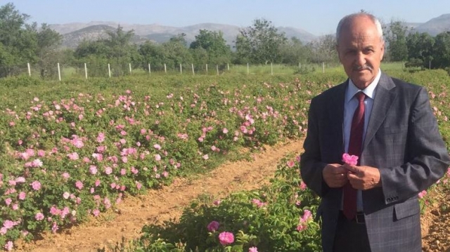 Gül Üreticileri, Gülbirlik'in Kararıyla Çifte Bayram Yaşıyor
