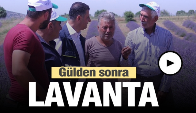 GÜLDEN SONRA ’’LAVANTA’’