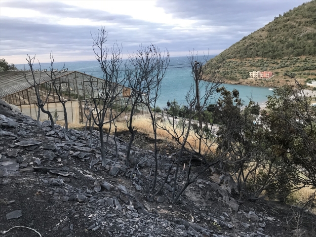 GÜNCELLEME 1 - Mersin'de orman yangını