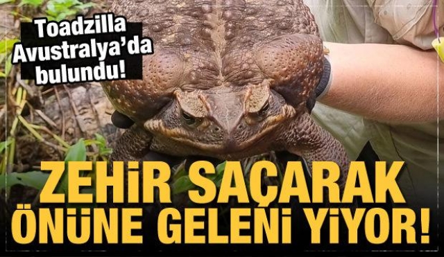 GÜNÜN ÖNEMLİ HABERLERİ