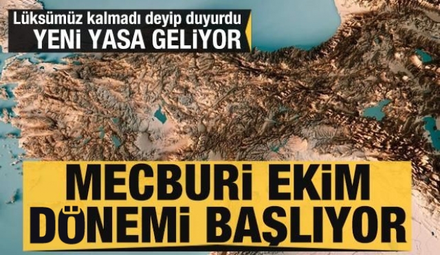 HABER AJANSI: MECBURİ EKİM DÖNEMİ BAŞLIYOR!