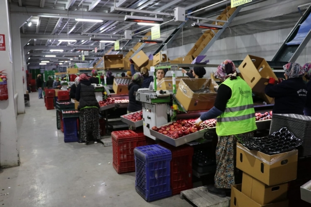 HABER: ISPARTA ELMASI BÖYLE PAKETLERİNYOR İŞTE O TESİS