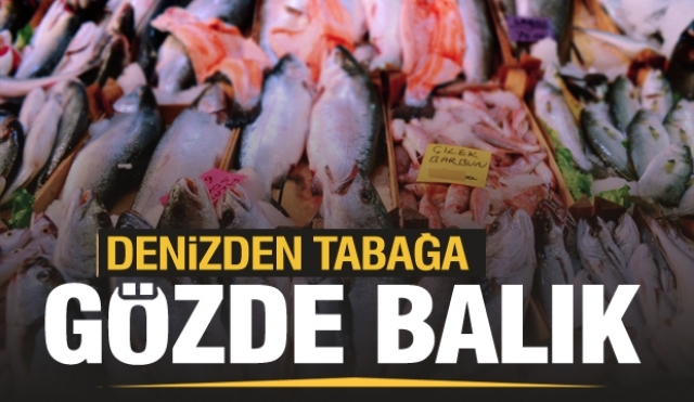 HAFANIN 7 GÜNÜ TAZE BALIK İÇİN GÖZDE BALIK