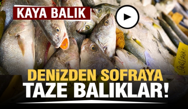 HAFTANIN 7 GÜNÜ TAZE BALIK İÇİN ISPARTA KAYA BALIK!