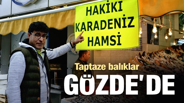 Hakiki Karadeniz Hamsi Gözde Balık Tezgahlarında...