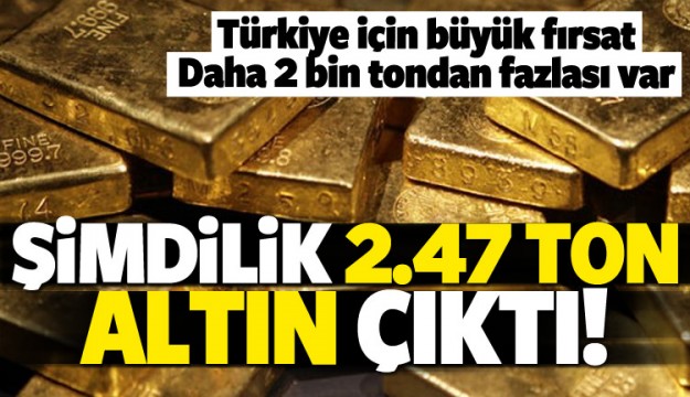 Hamle işe yaradı! 2.47 ton altın...