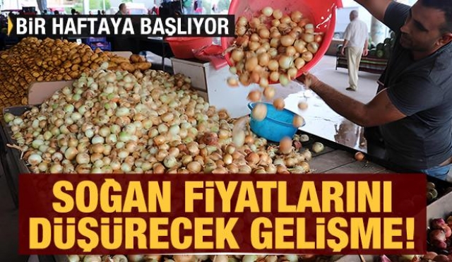 Hasat başladı: Isparta'ya yeni sezon soğanlar geliyor