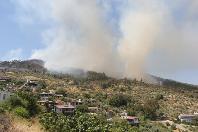 Hatay'da 4 farklı noktada çıkan orman yangınına müdahale ediliyor