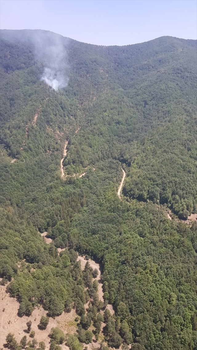 Hatay'da çıkan orman yangını kontrol altına alındı