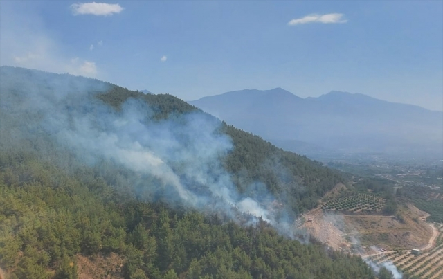 Hatay'da orman yangını