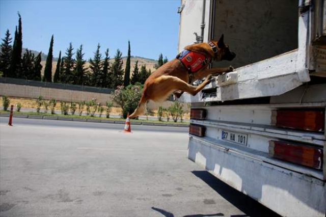 Hatay'da güvenlik uygulaması