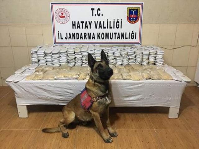 Hatay'da kaçakçılık ve uyuşturucu operasyonları
