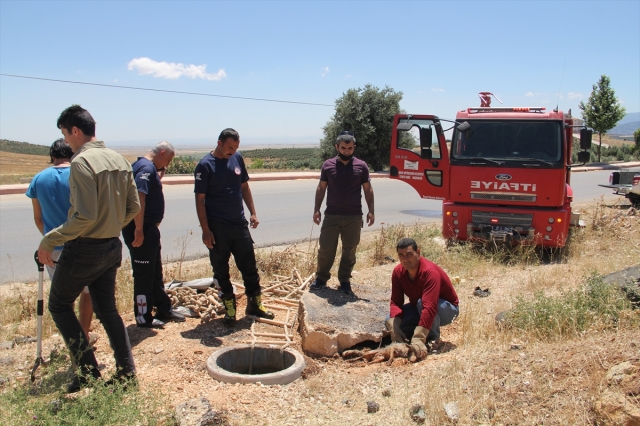 Hatay'da menfeze düşen tilkiyi itfaiye ekipleri kurtardı