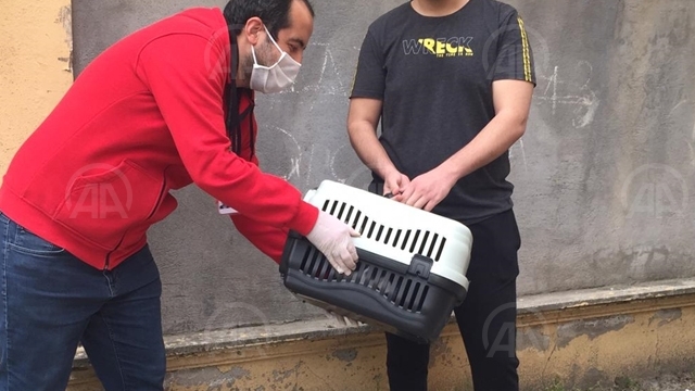Hatay'da rahatsızlanan kedinin yardımına Vefa Sosyal Destek Grubu yetişti