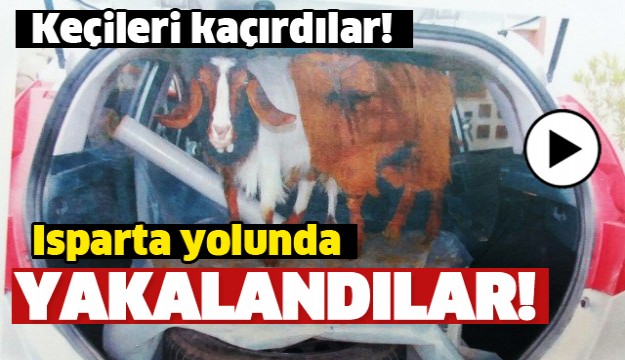 HAYVAN HIRSIZLARI ISPARTA YOLUNDA YAKALANDI