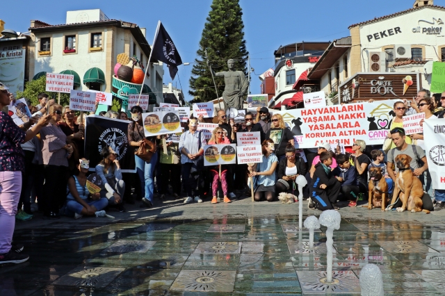 Hayvanseverlerden Antalya'da maskeli eylem 
