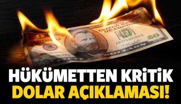 Hükümetten dolar açıklaması