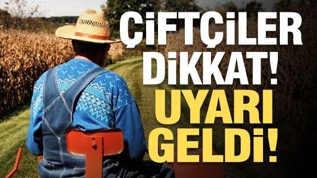 İç Kesimlerde Zirai Don Uyarısı: Çiftçiler Tedbirli Olmalı