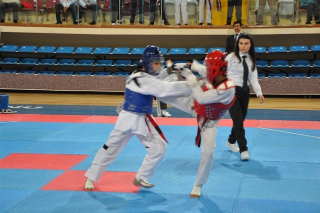 ISPARTA ANALİG TAEKWONDO HEYECANI SONA ERDİ