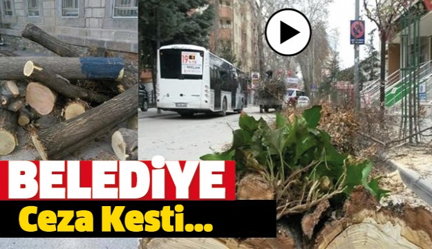 ISPARTA BELEDİYESİ DOĞAYA ZARAR VERMEKTEN  İŞLEM YAPTI