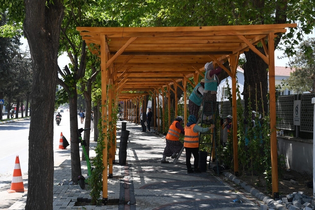 ​Isparta Belediyesi kent estetiğine renk katıyor