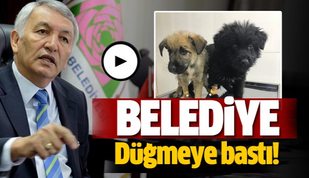 ISPARTA BELEDİYESİ'NDEN AÇIKLAMA GELDİ