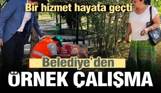​Isparta Belediyesinden, sokak hayvanları için örnek çalışma