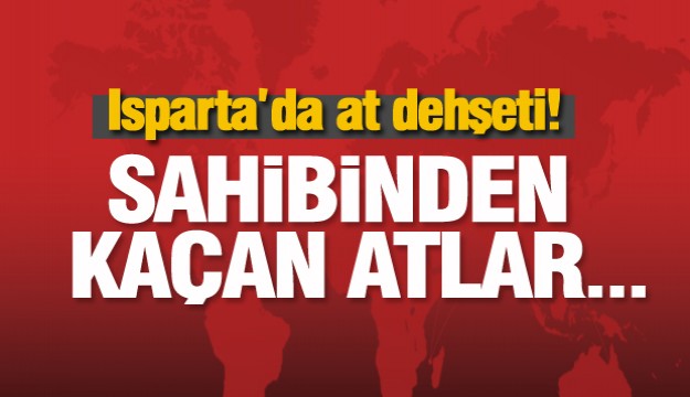 Isparta’da at dehşeti 