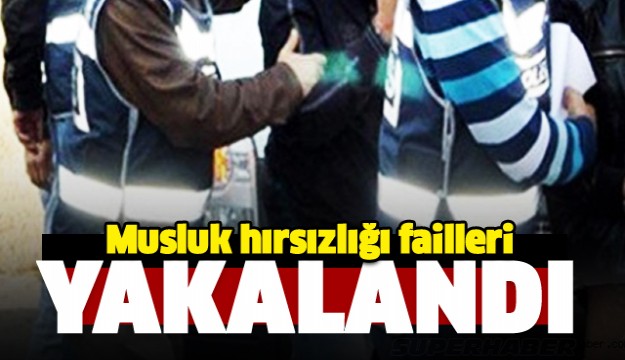    Isparta’da merdiven boşluğundaki musluk hırsızlığı failleri yakalandı  