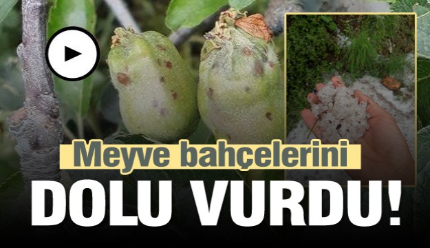 Isparta’da meyve bahçelerini dolu vurdu  