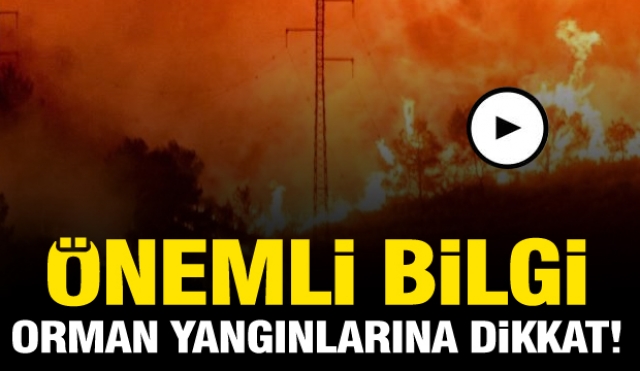 ISPARTA 'DA ''ORMAN YANGINLARINA DİKKAT'' UYARISI