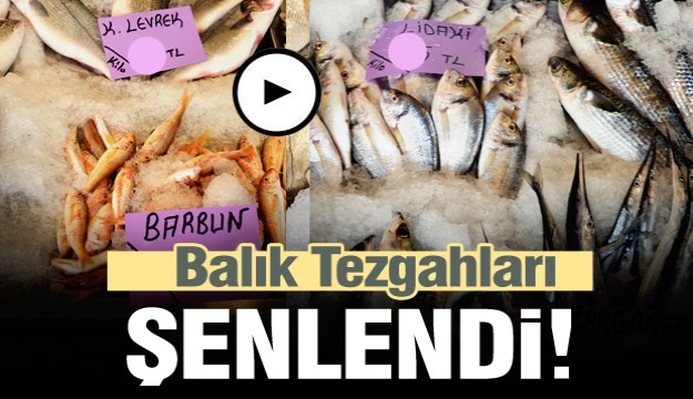 Isparta Dostlar Balıkçılık'ta Tezgahlar Şenlendi