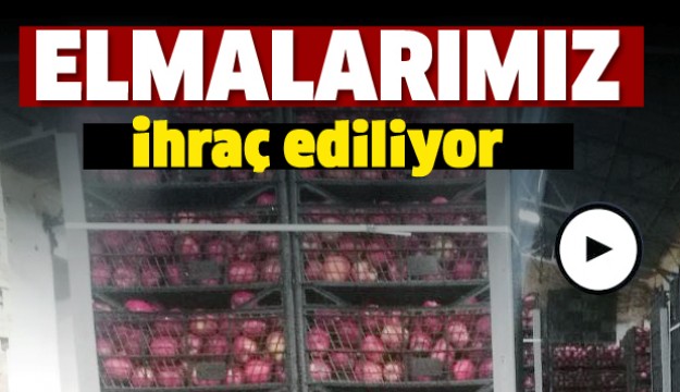 Isparta Eğirdir Elması Suudi Arabistan’da  