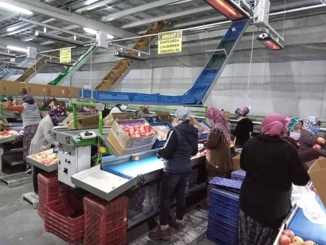 Isparta Elma üretiminde Türkiye’de birinci sırada yer alıyor!