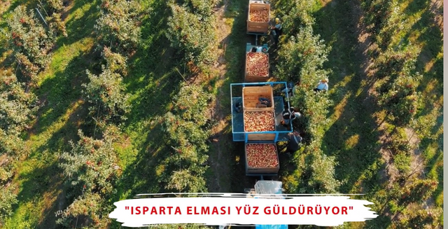 ​Isparta Elması Yüz Güldürüyor