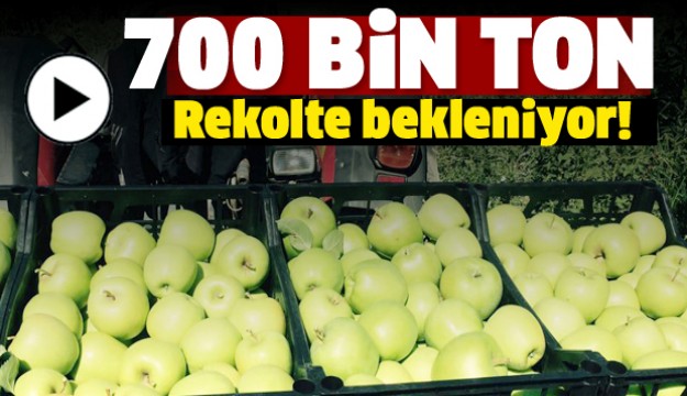 Isparta Elmasında Hedef  700 Bin Ton Rekolte