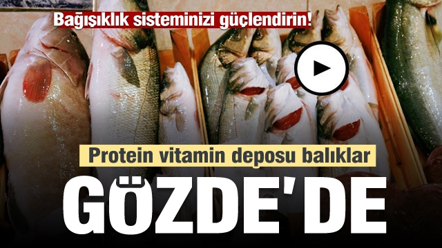 ISPARTA GÖZDE BALIK'TA VİTAMİN VE PROTEİN DEPOSU BALIKLAR