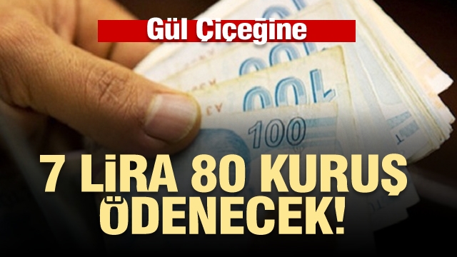 Isparta gül çiçeğine 7 lira 80 kuruş ödenecek