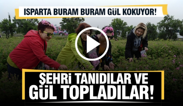 ​Isparta Gül Festivalinde şehir buram buram gül kokuyor Gül toplayıp, gül şehrini tanıdılar