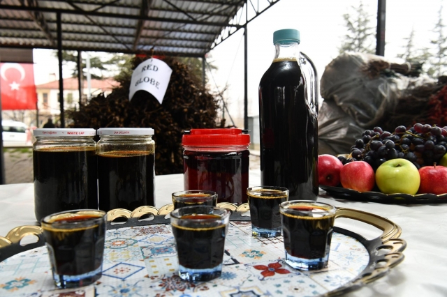 Isparta Haber: 50 Bin Üzüm Fidanı Dağıtıldı