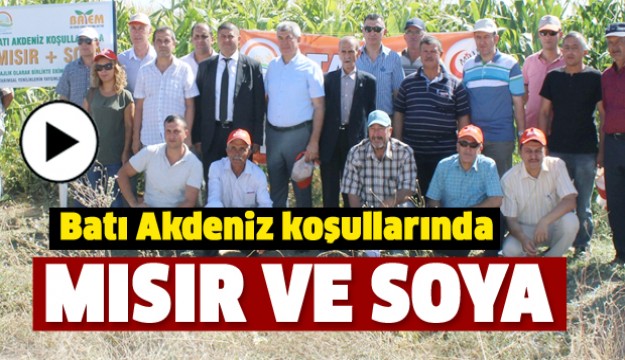 ISPARTA İKLİMİNDE MISIR VE SOYA YETİŞTİRİLMESİ