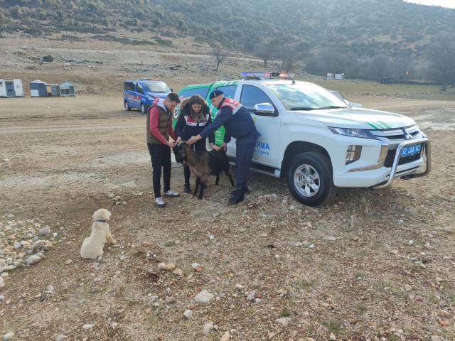 Isparta Jandarması, Mahsur Kalmış Hamile Keçiyi Kurtarıp Sahibine Teslim Etti!
