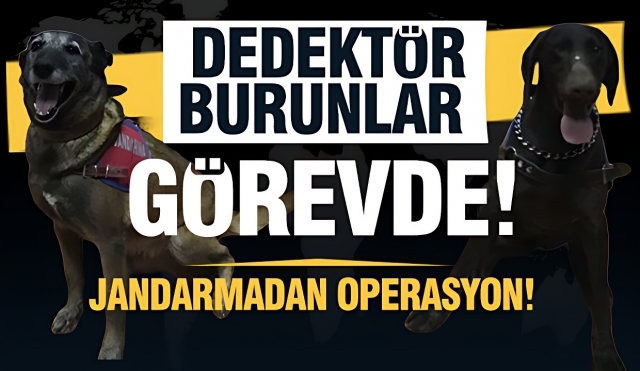 Isparta Jandarması'ndan Uyuşturucu Operasyonu
