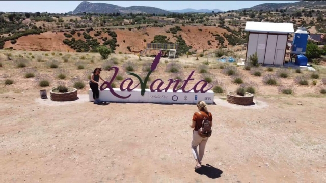 Isparta lavantada da iddialı olmak istiyor - Son Haberler