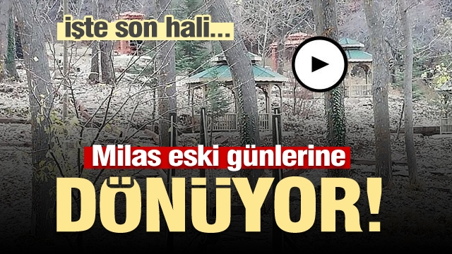 Isparta Milas eski günlerine dönüyor...