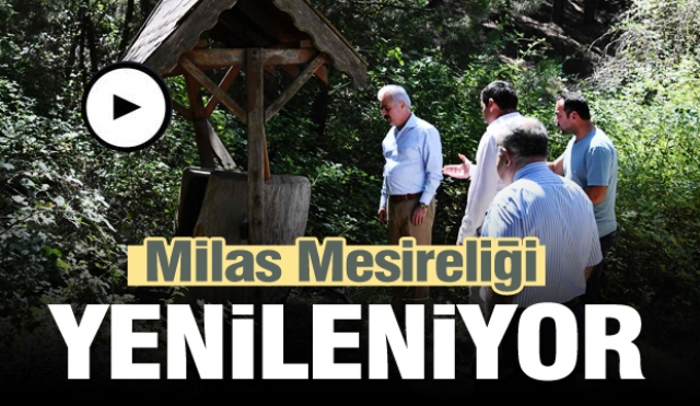 Isparta Milas Mesireliği Yenileniyor