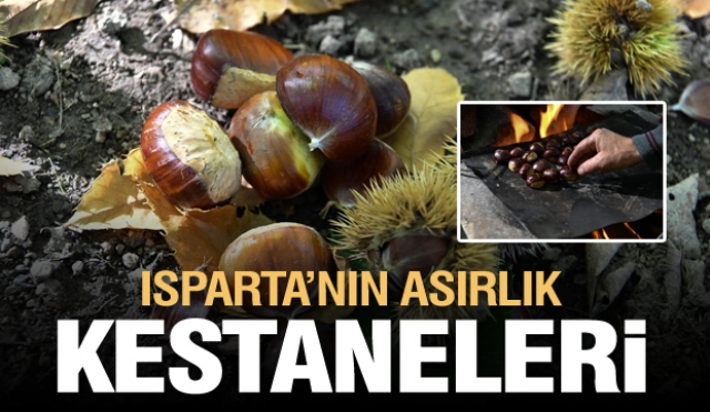 Isparta’nın Asırlık Kestaneleri